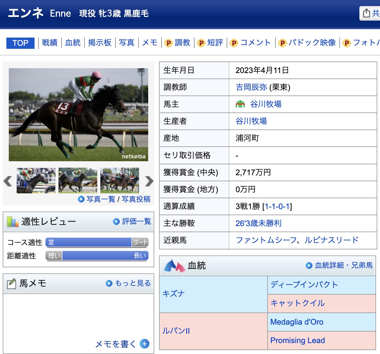 エンネ　競馬　競走馬