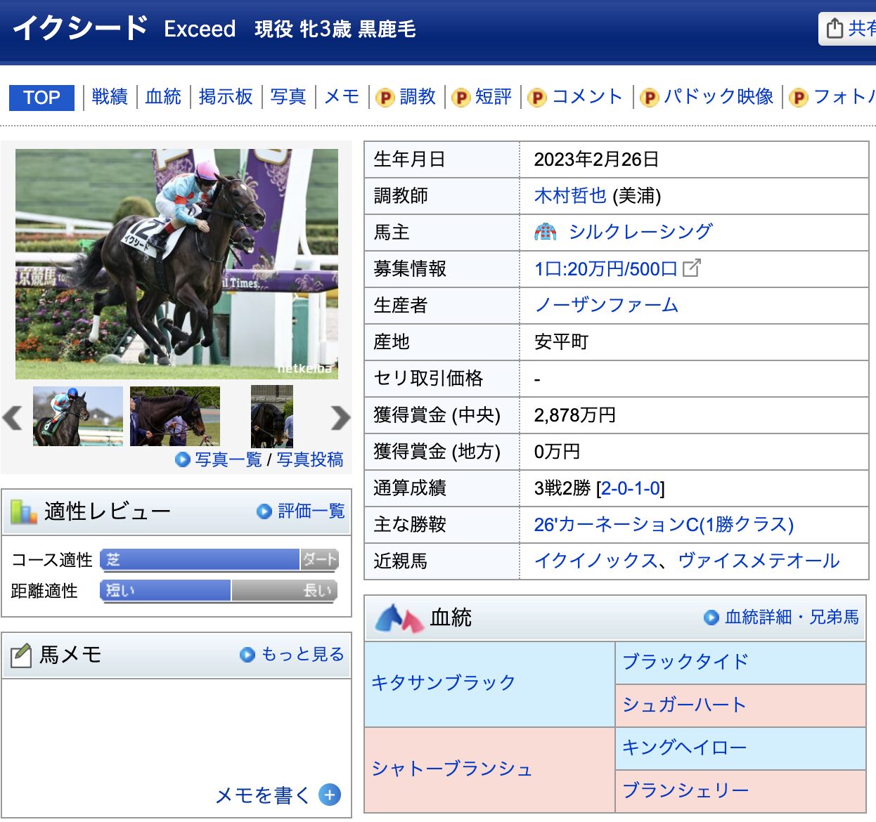 イクシード　競馬　競走馬