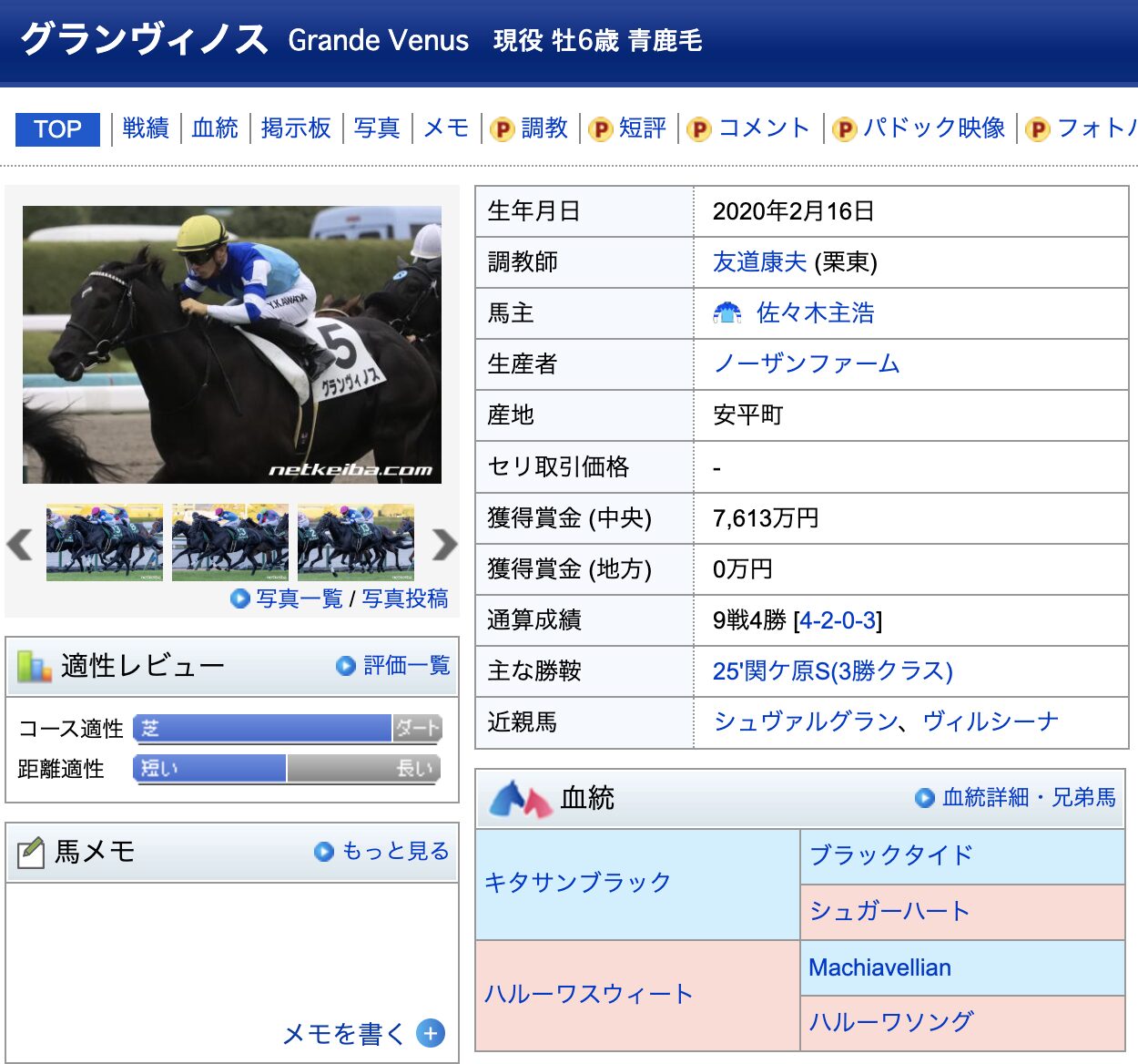 グランヴィノス 競馬 競走馬