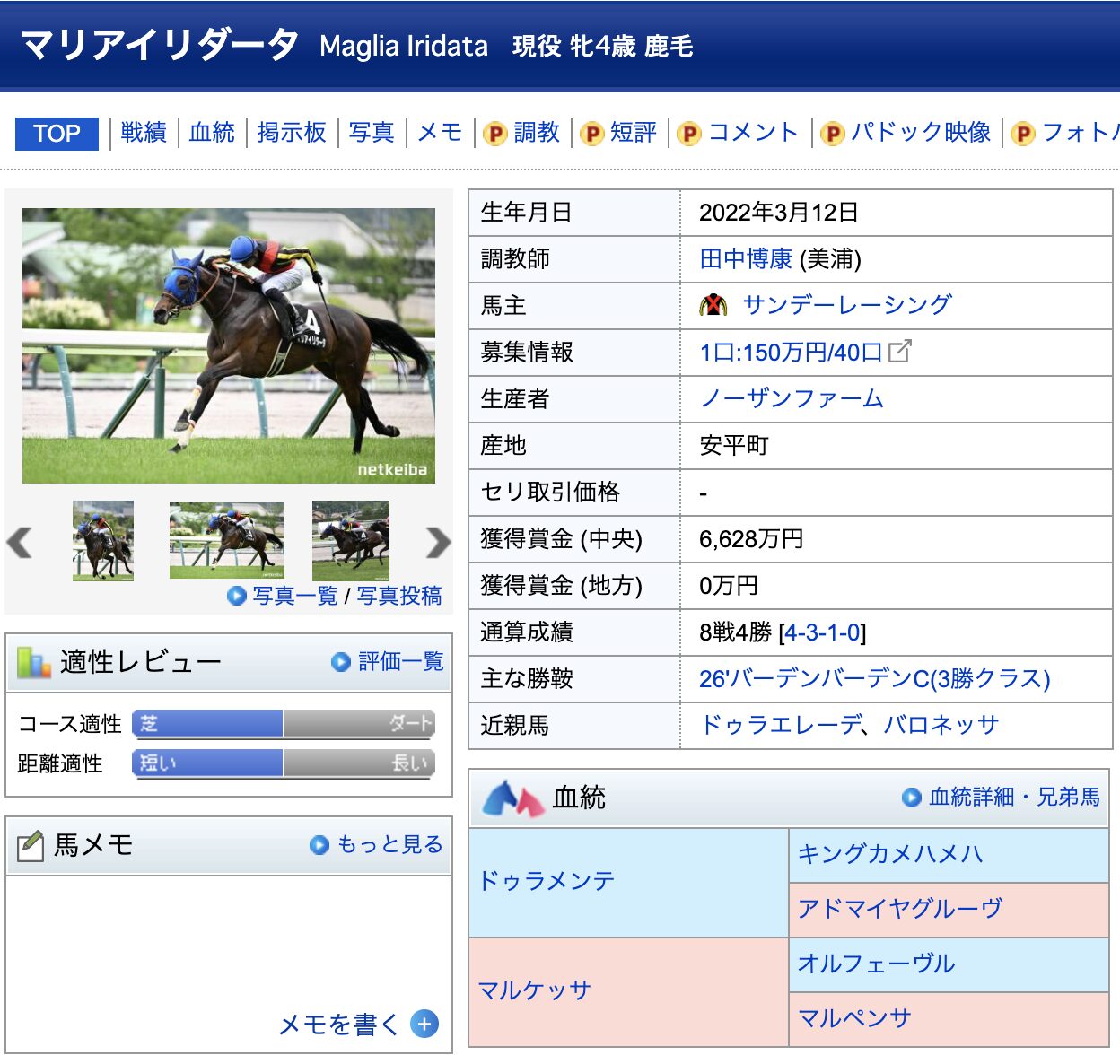 マリアイリダータ 競馬 競走馬