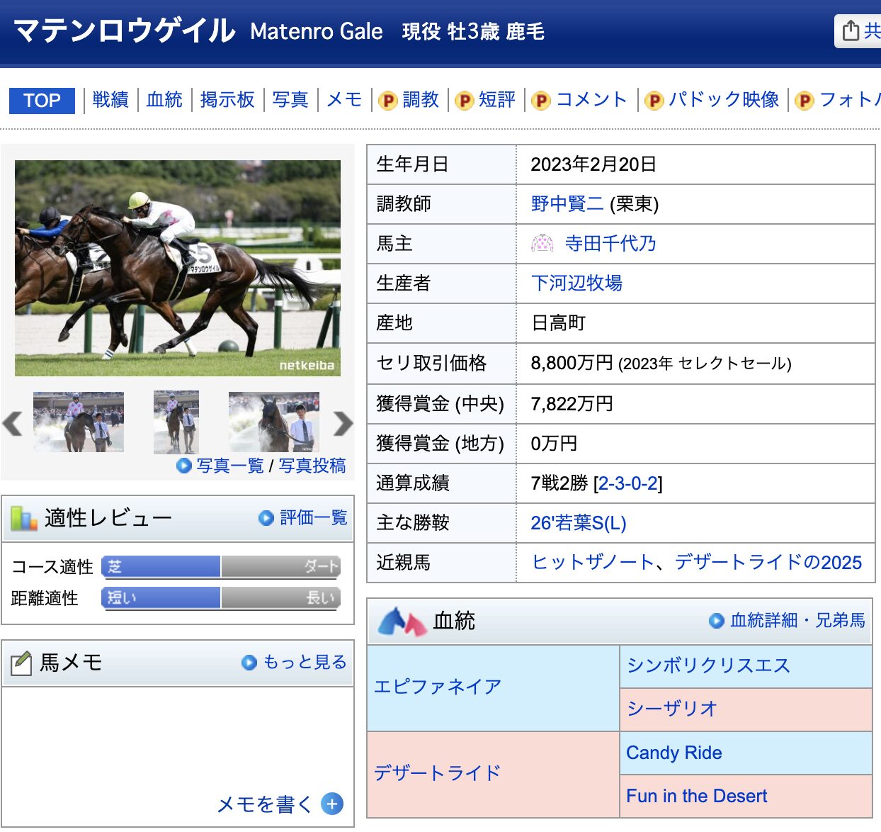 マテンロウゲイル 競馬 競走馬