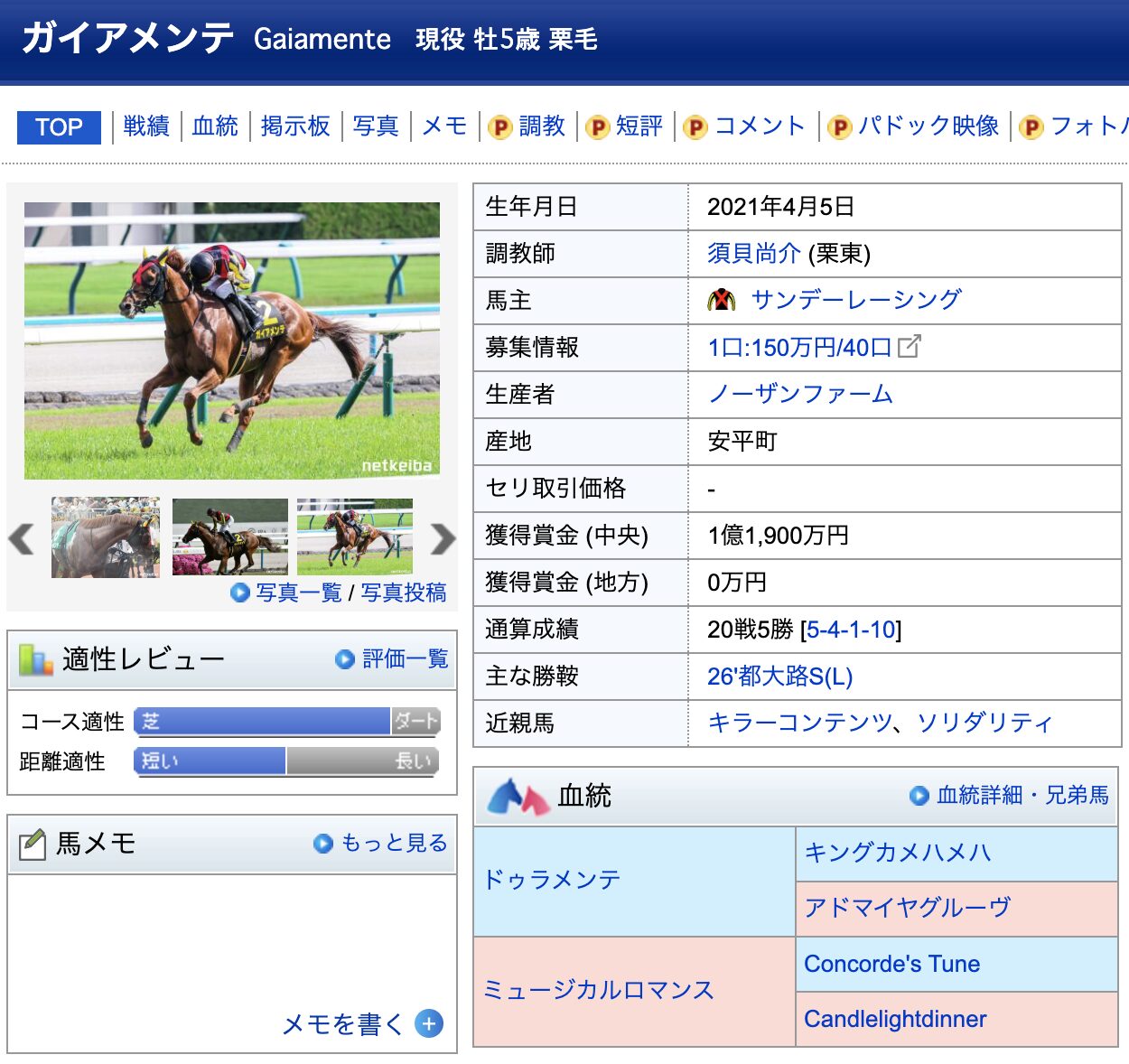 ガイアメンテ 競馬 競走馬