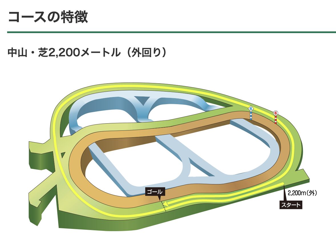 競馬 コース 中山競馬場 芝 2200メートル
