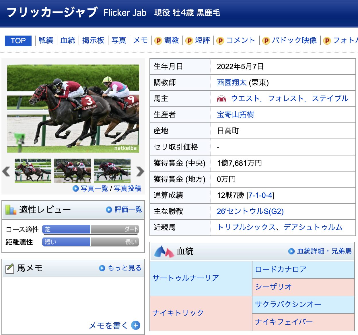 競馬　競走馬　フリッカージャブ　データ