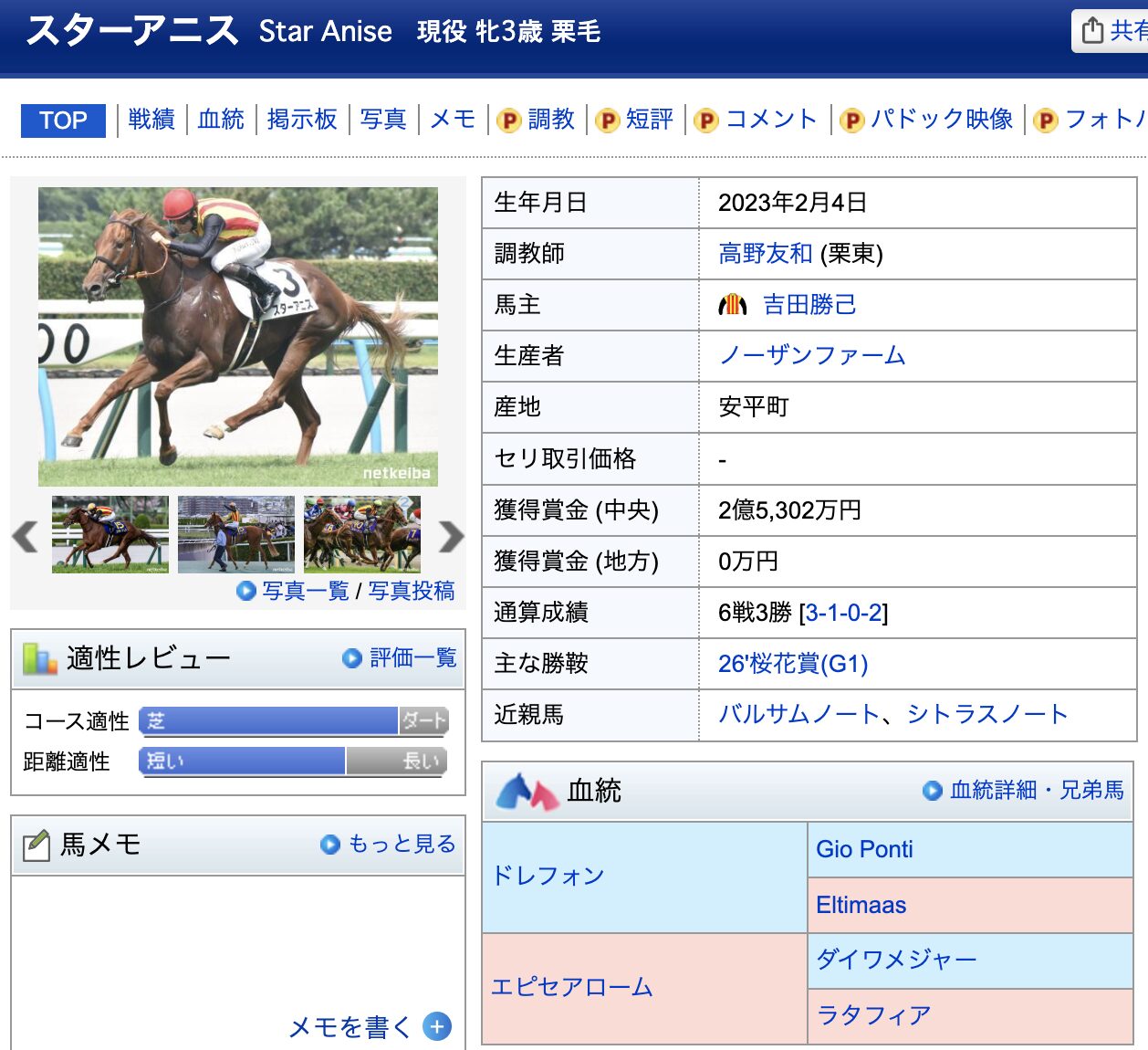 競馬　競走馬　スターアニス　データ