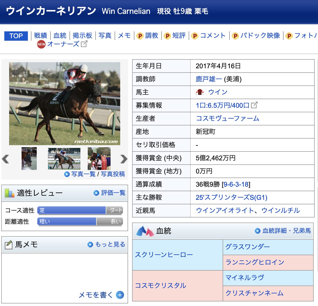 競馬　競走馬　ウィンカーネリアン　データ