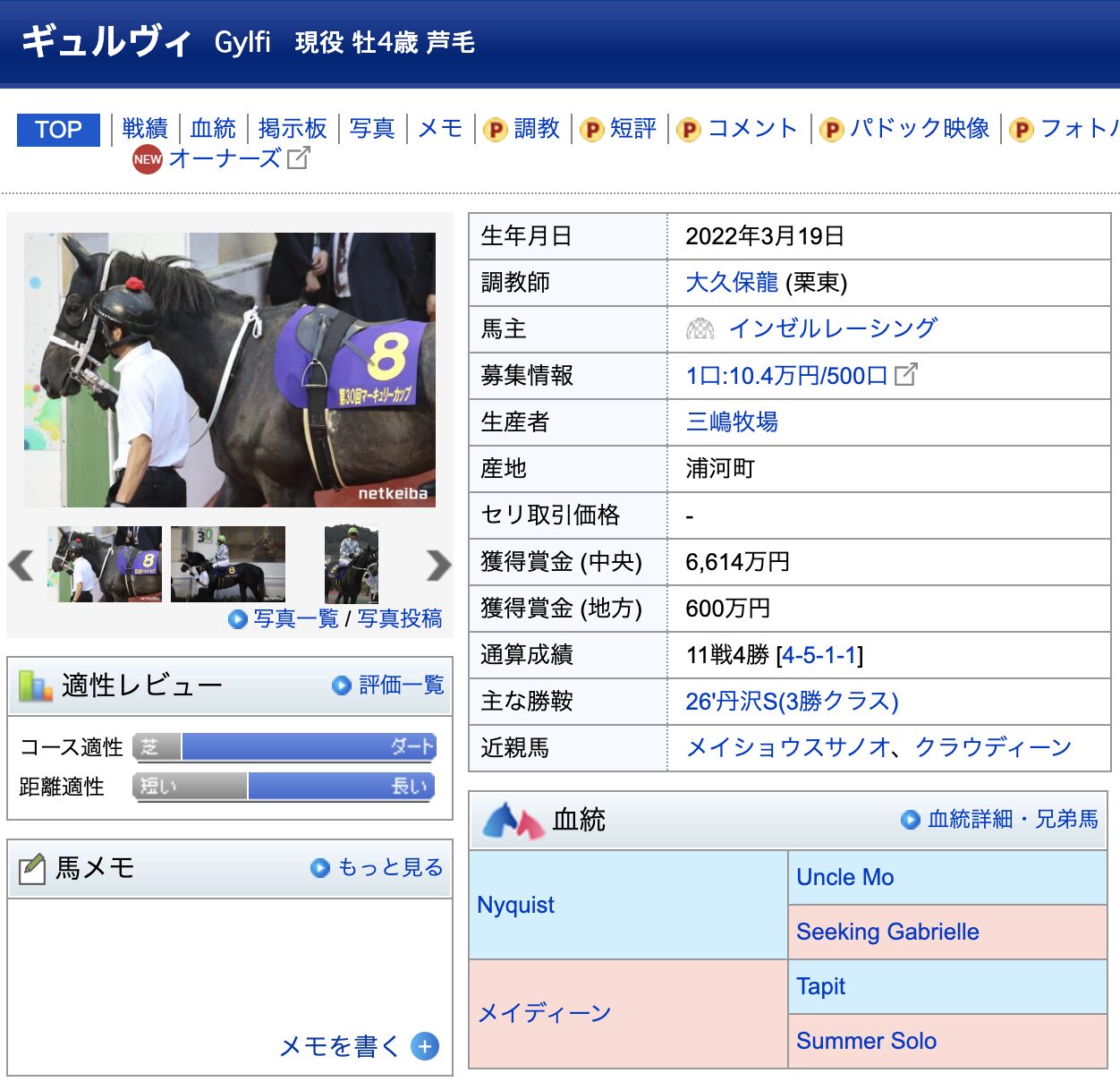 競馬　競走馬　ギュルヴィ