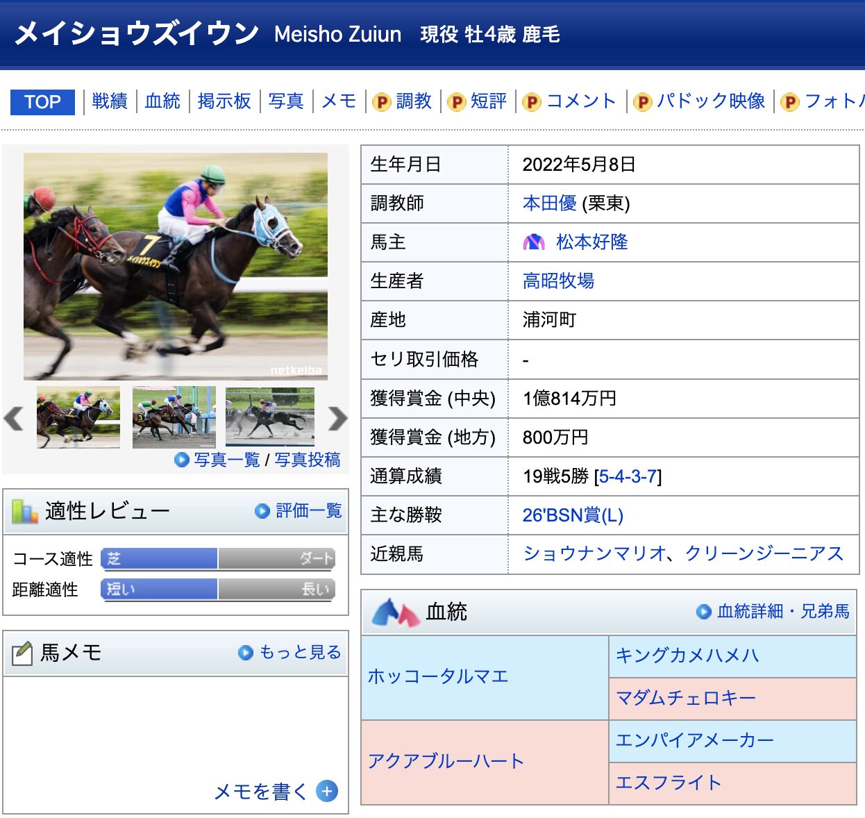 競馬　競走馬　メイショウズイウン