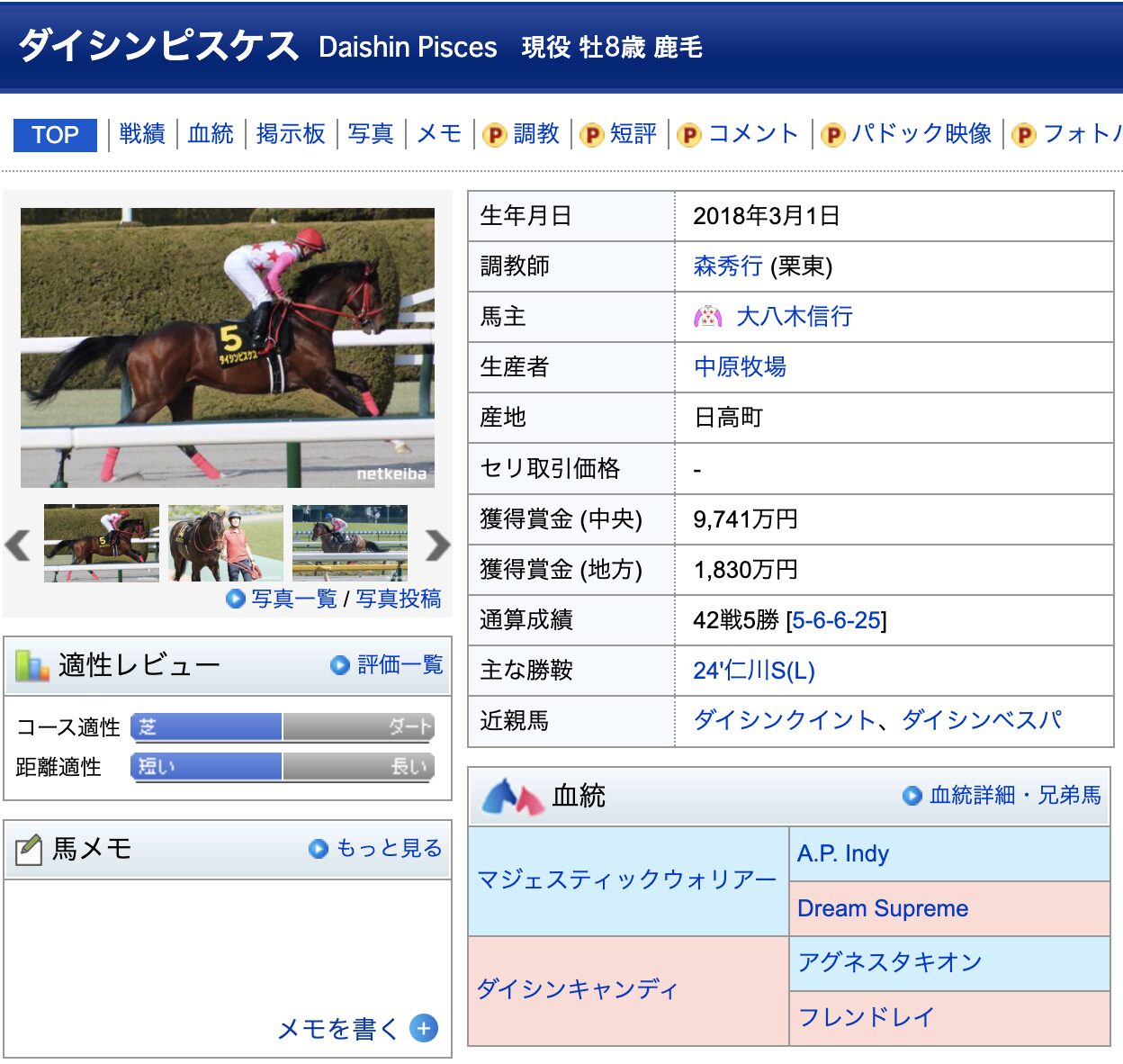 競馬　競走馬　ダイシンピスケス