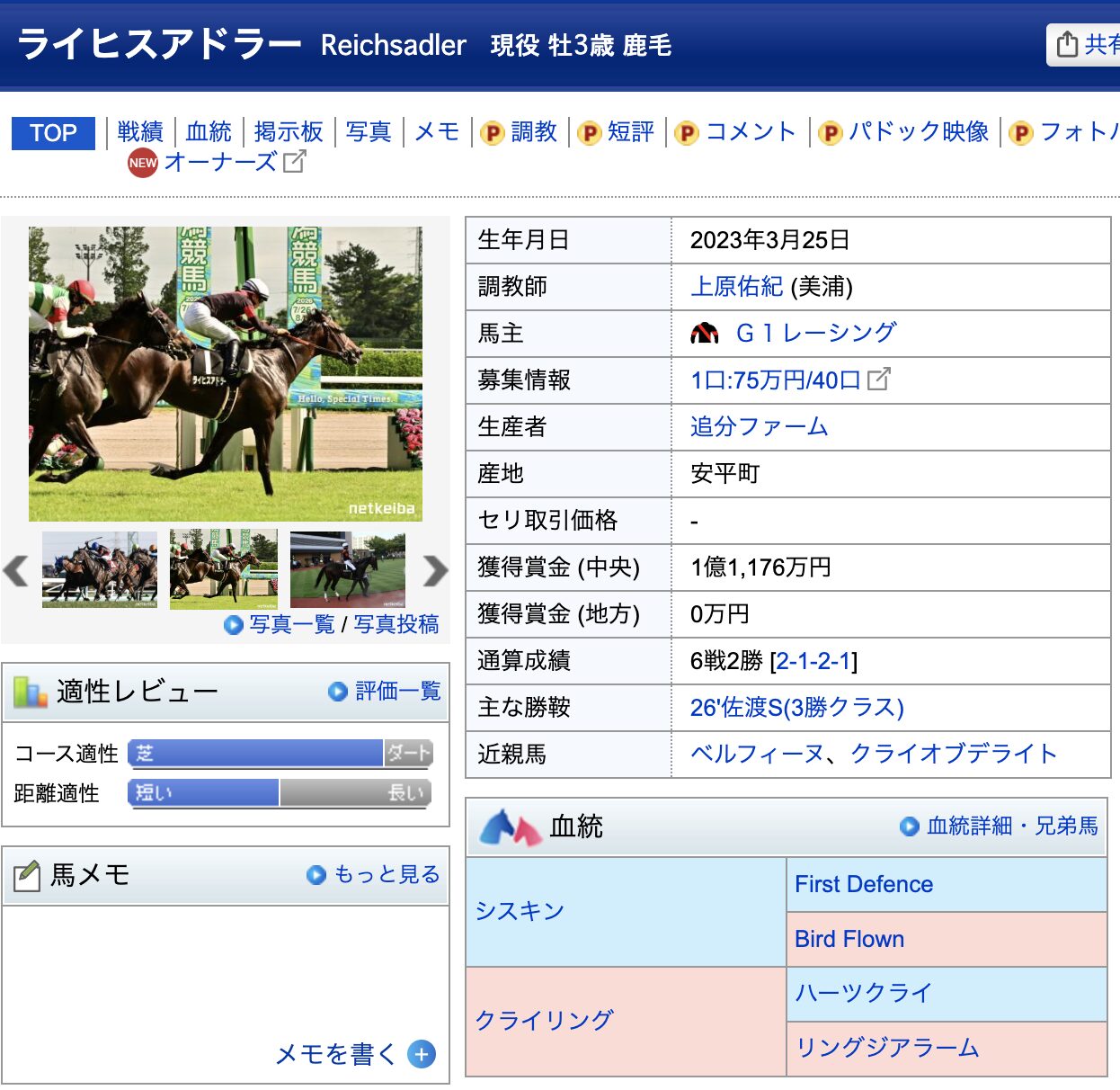 ライヒスアドラー　競馬　競走馬