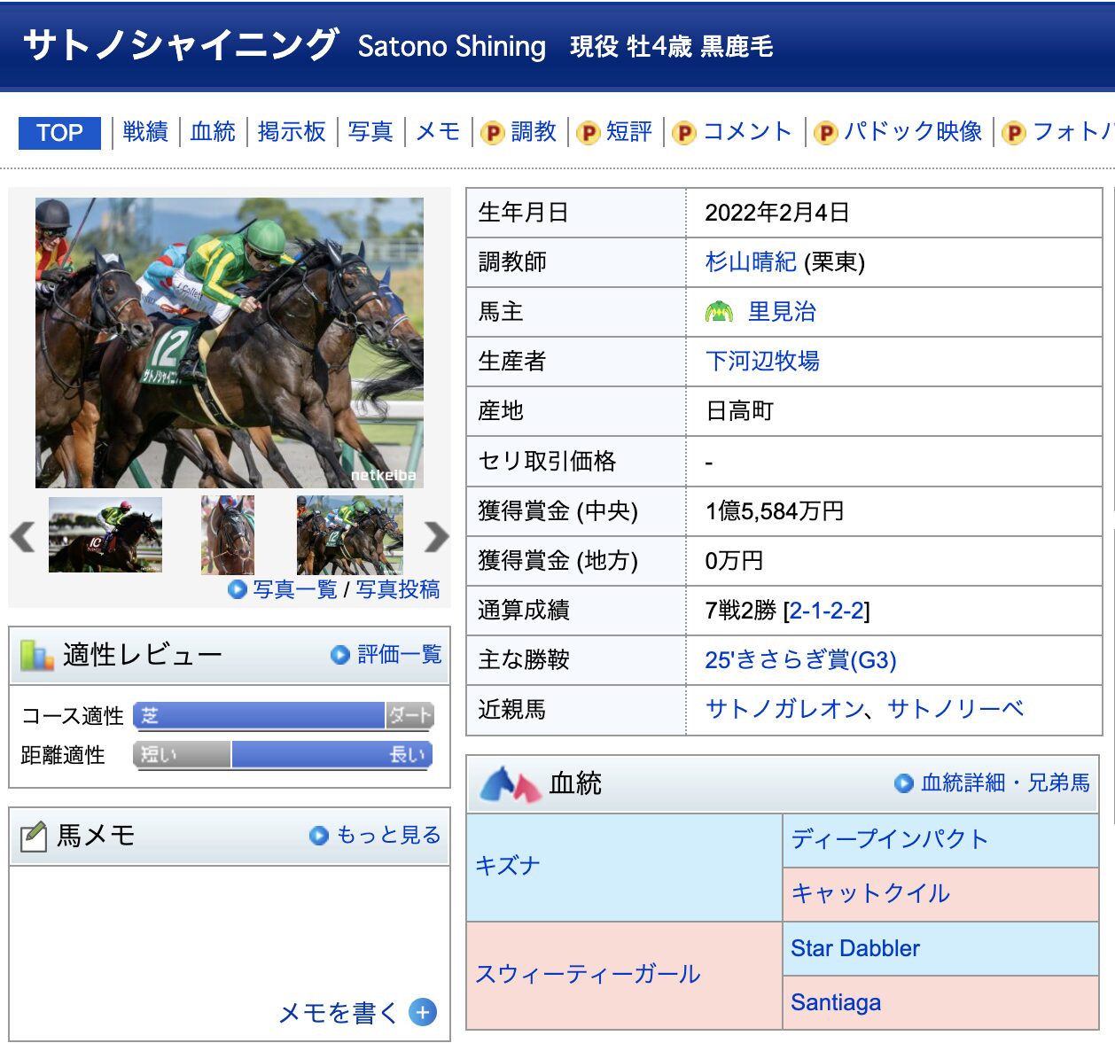 サトノシャイニング　競馬　競走馬