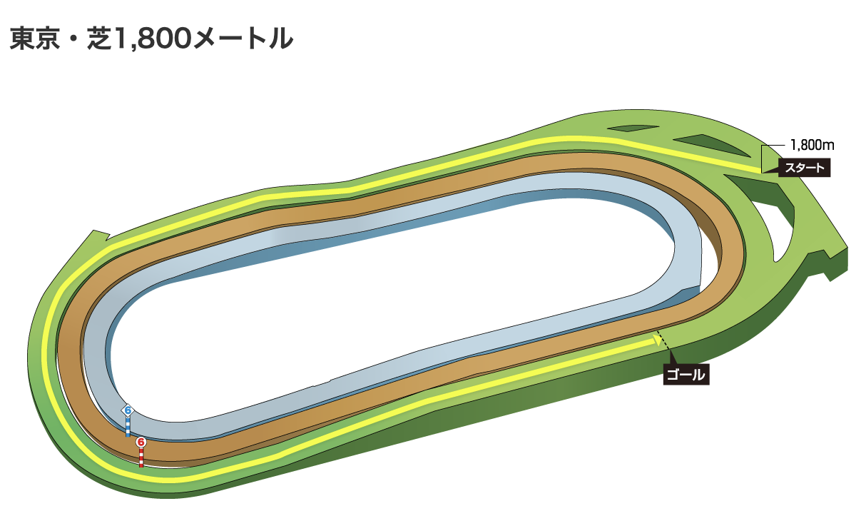 東京競馬場　芝　1800m