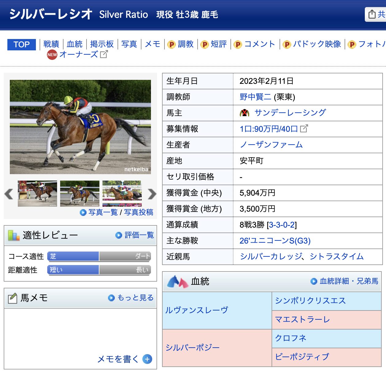 競馬　競走馬　シルバーレシオ