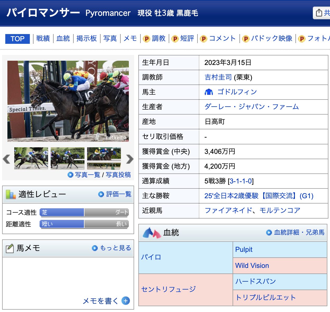 競馬　競走馬　パイロマンサー