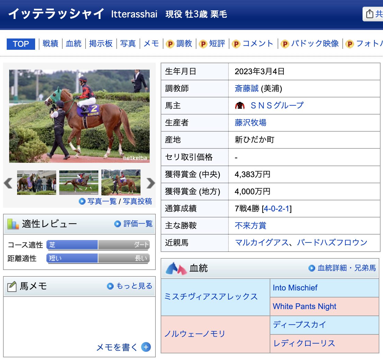 競馬　競走馬　イッテラッシャイ