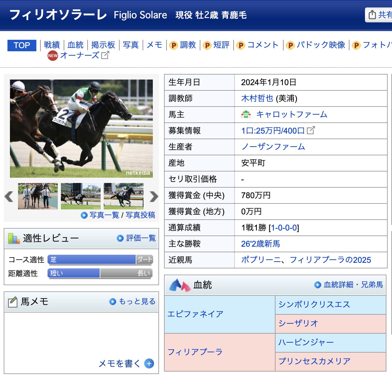 競馬　競走馬　フィリオソラーレ