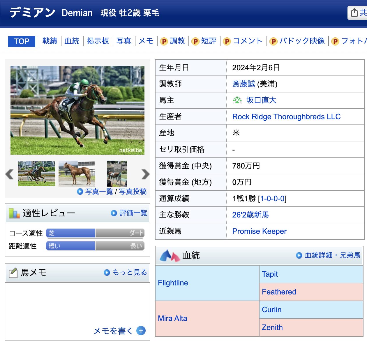 競馬　競走馬　デミアン