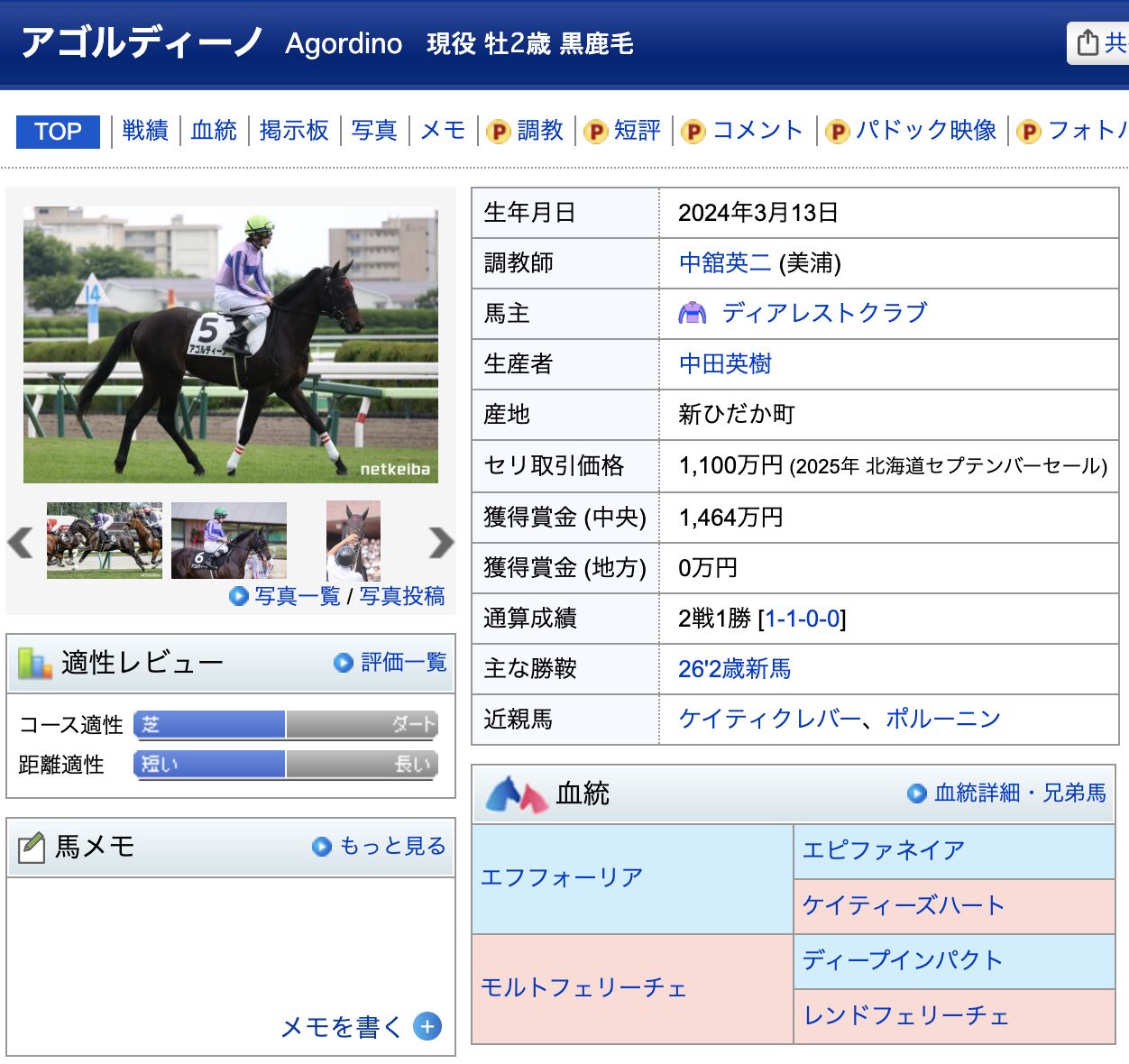 競馬　競走馬　アルゴディーノ