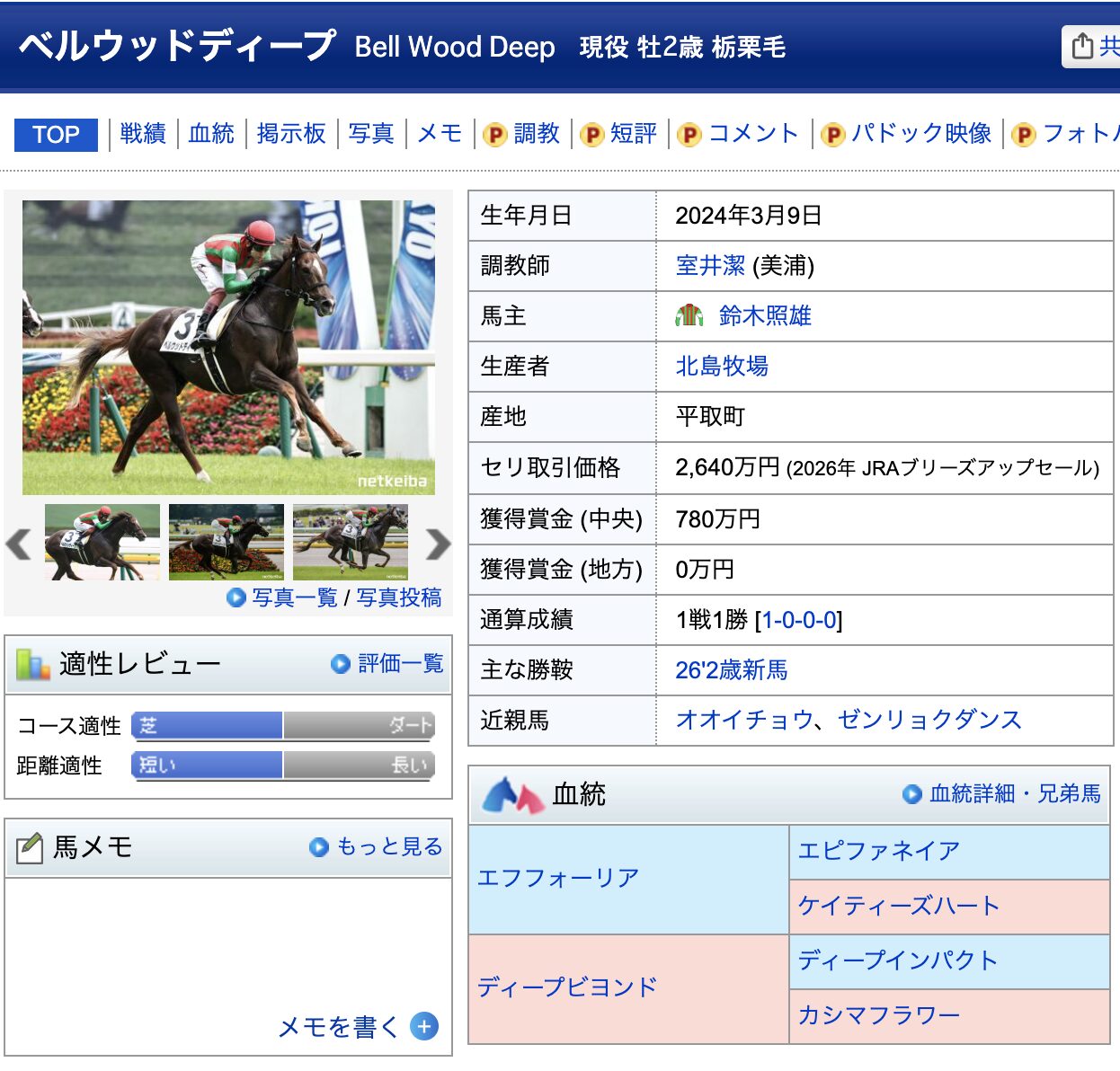 競馬　競走馬　ベルウッドディープ