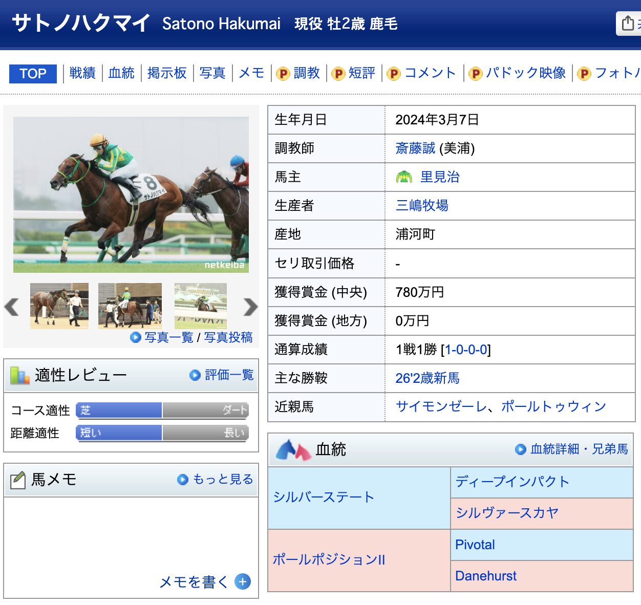 競馬　競走馬　サトノハクマイ