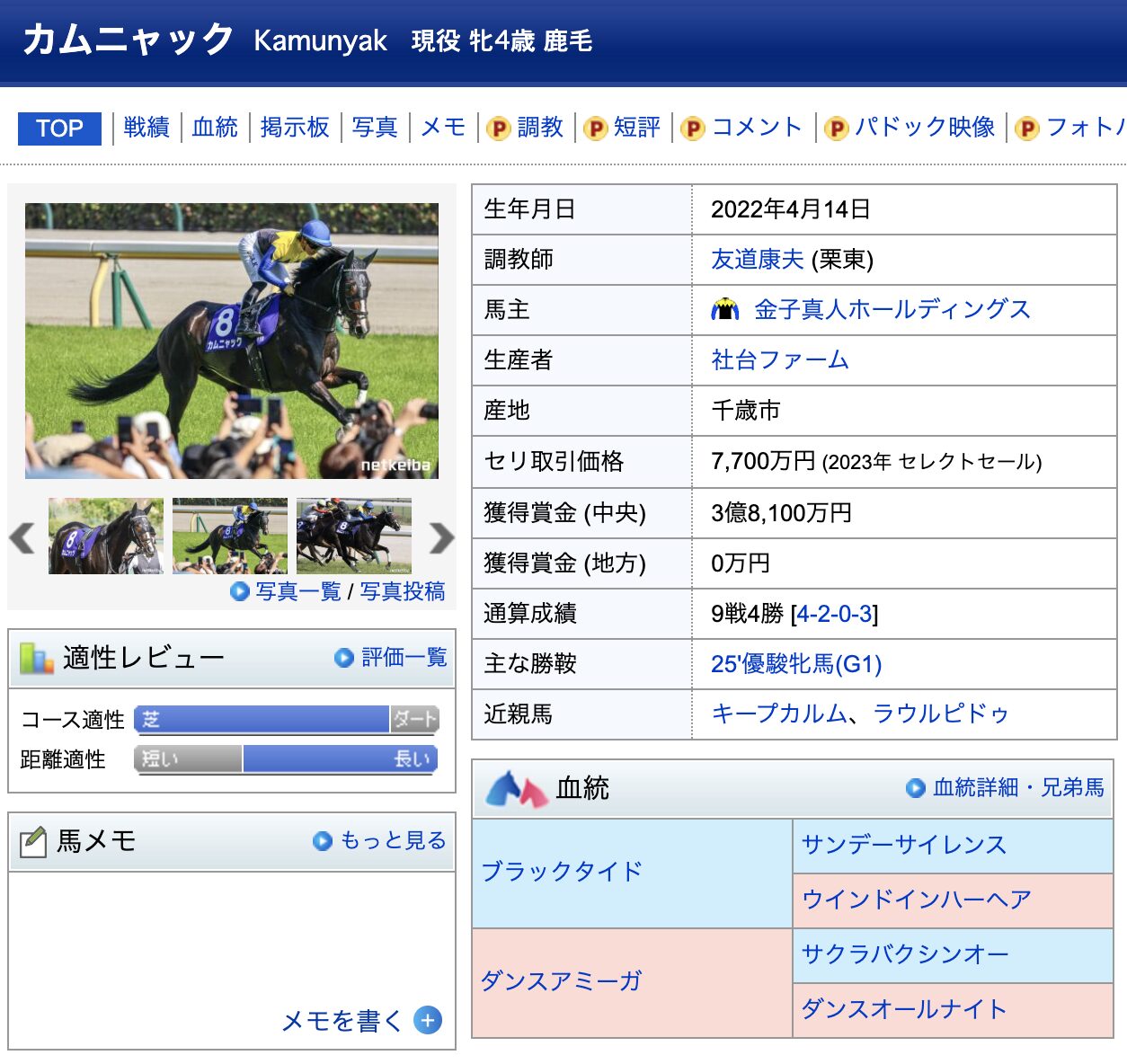 競馬　競走馬　カムニャック