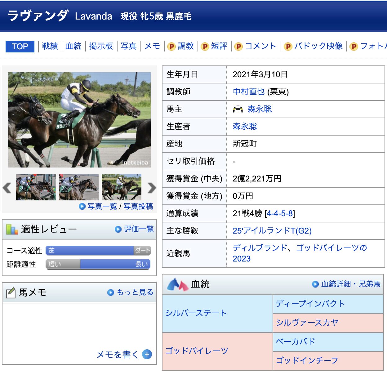 競馬　競走馬　ラヴェンダ