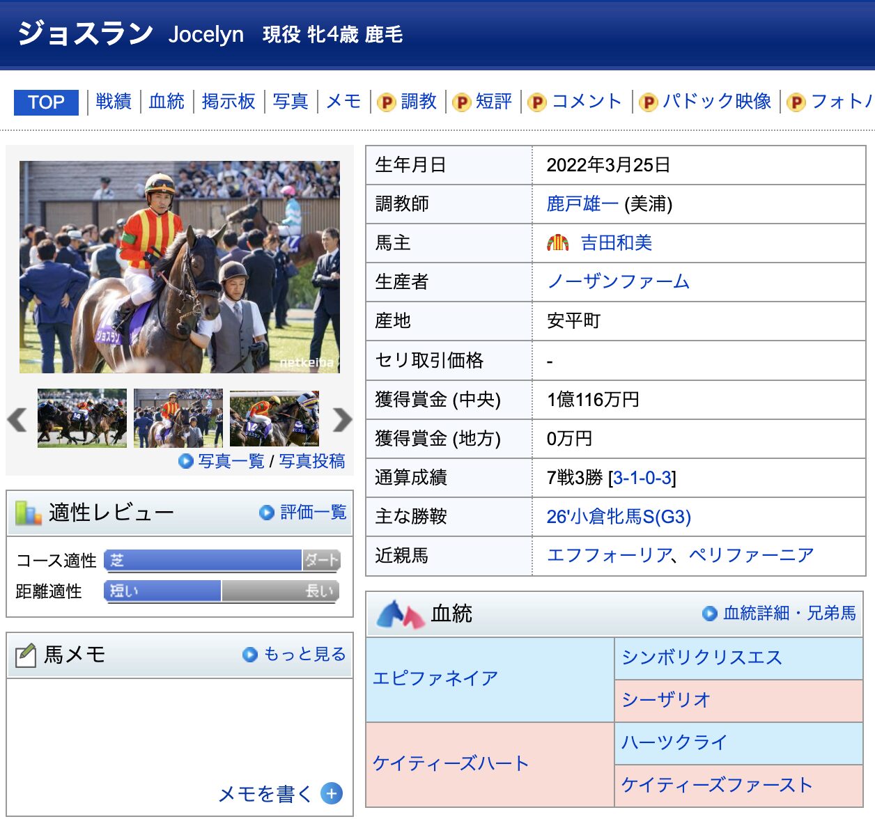 競馬　競走馬　ジョスラン