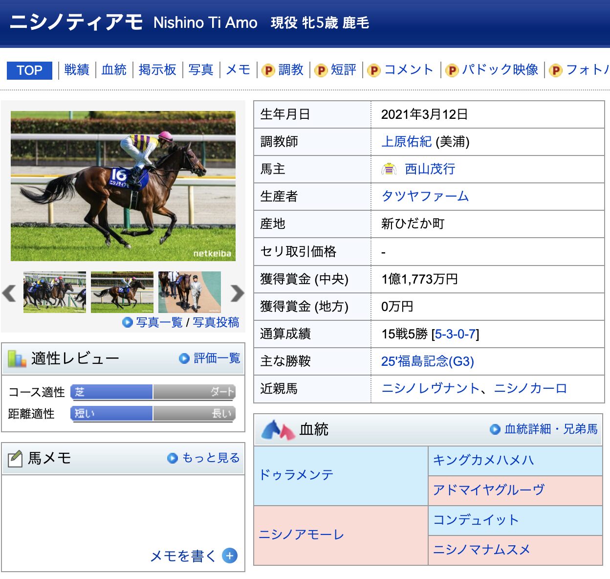 競馬　競走馬　ニシノティアモ