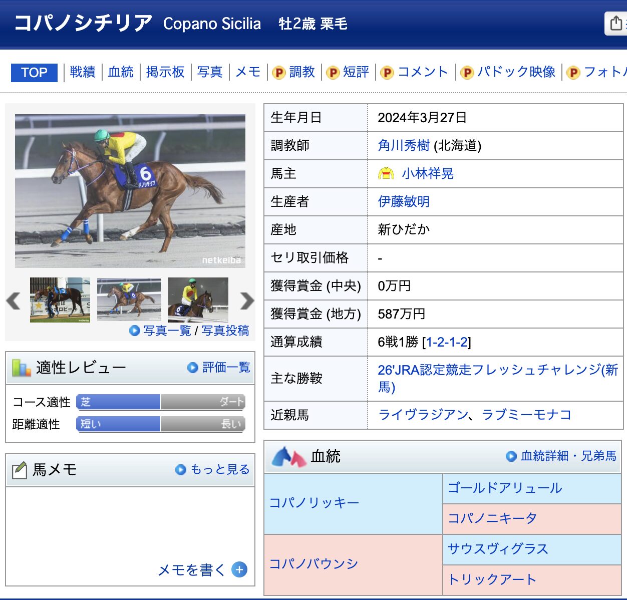 競馬　競走馬　コパノシチリア