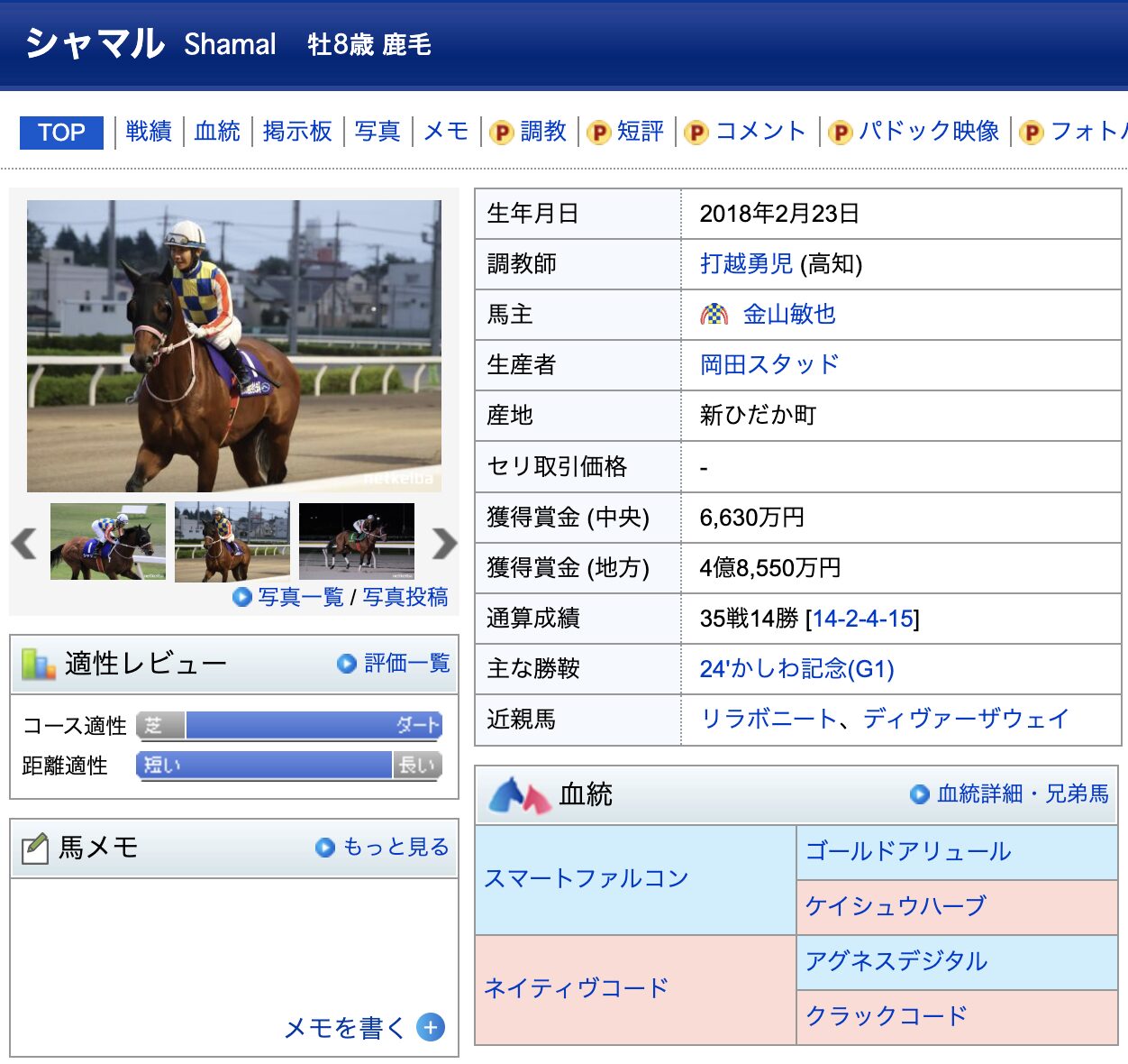 競馬　競走馬　シャマル