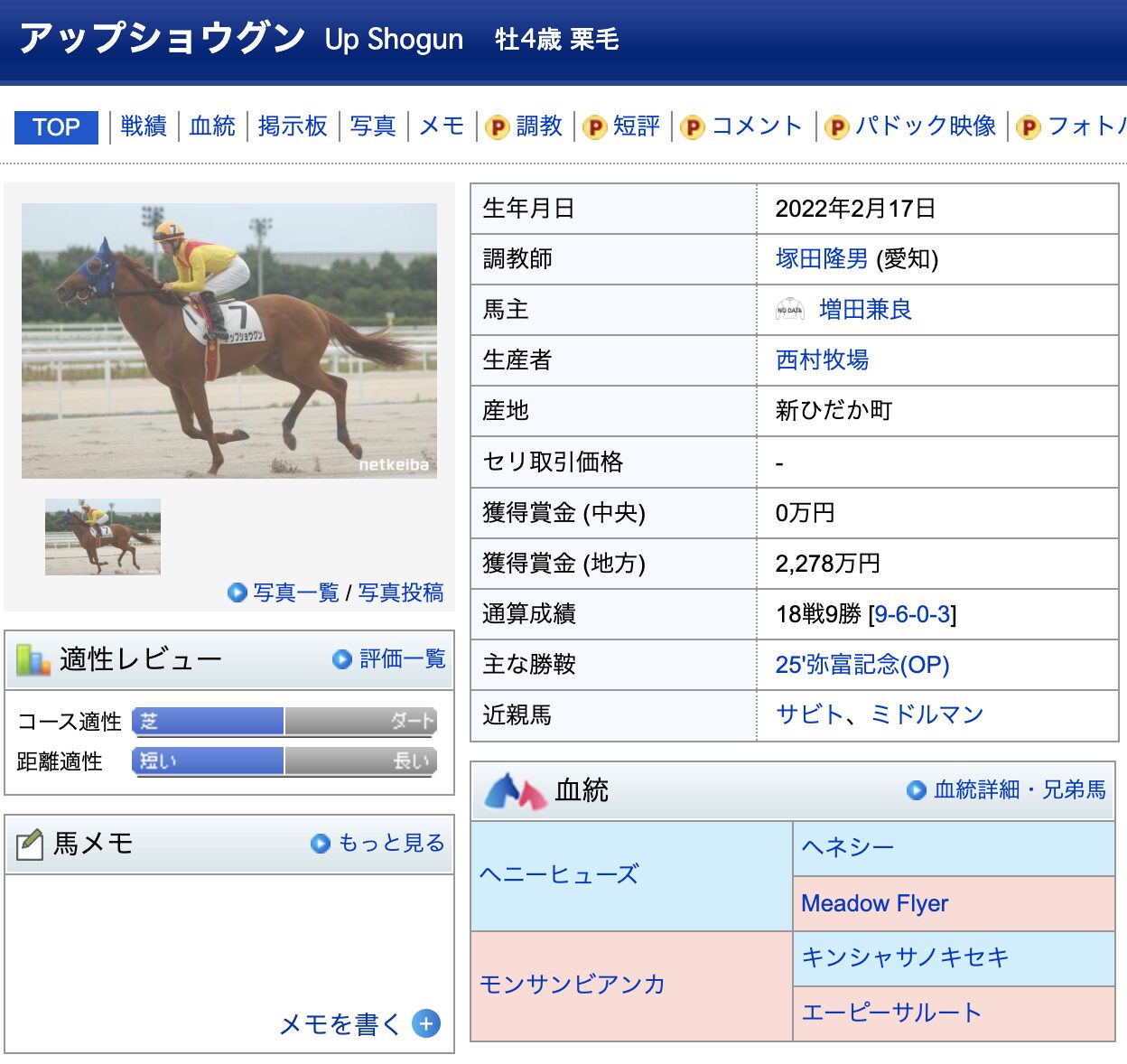 競馬　競走馬　アップショウグン