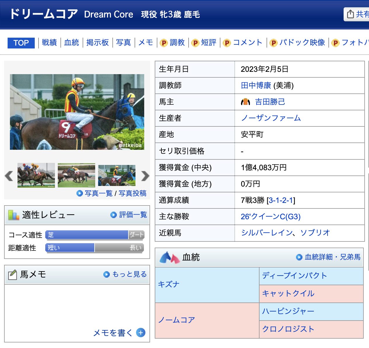 ドリームコア　競馬　競走馬