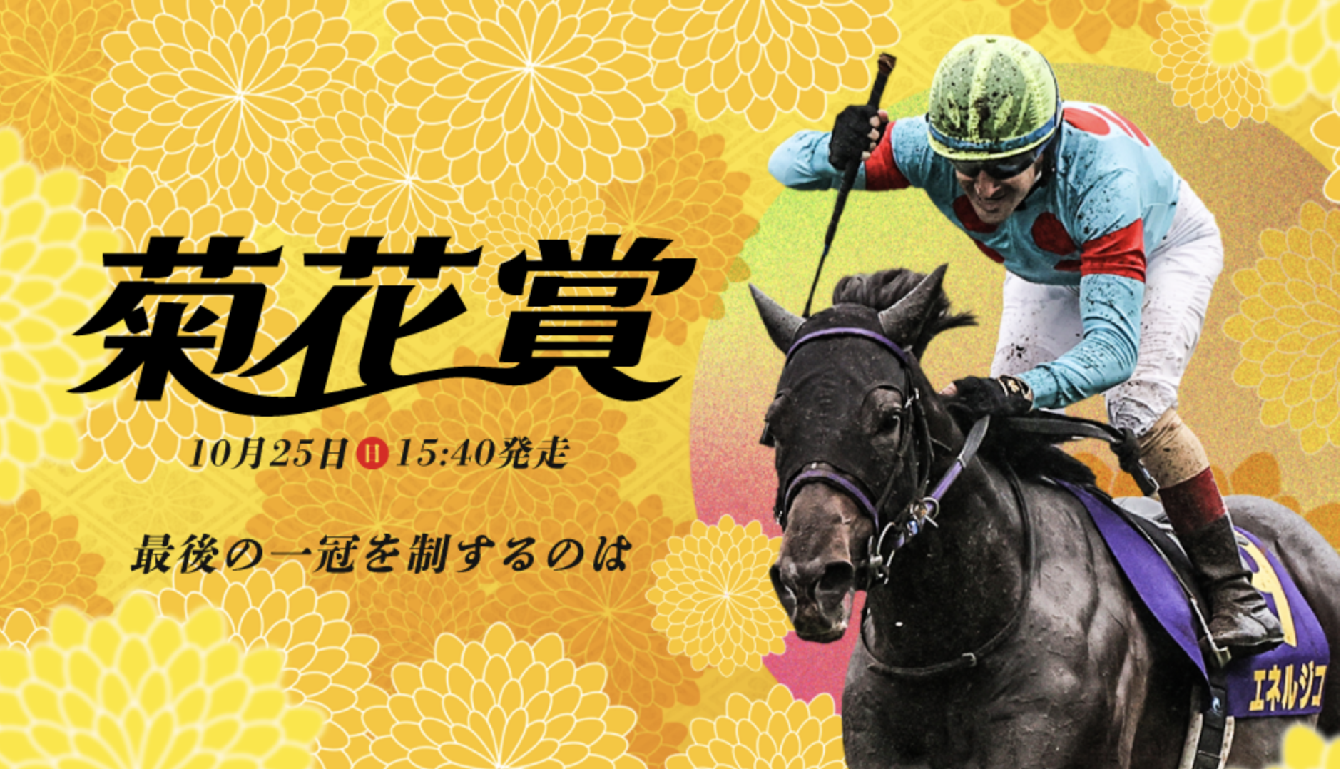 菊花賞2026の見どころは？京都芝3000mの特徴や過去データから予想ポイントを解説