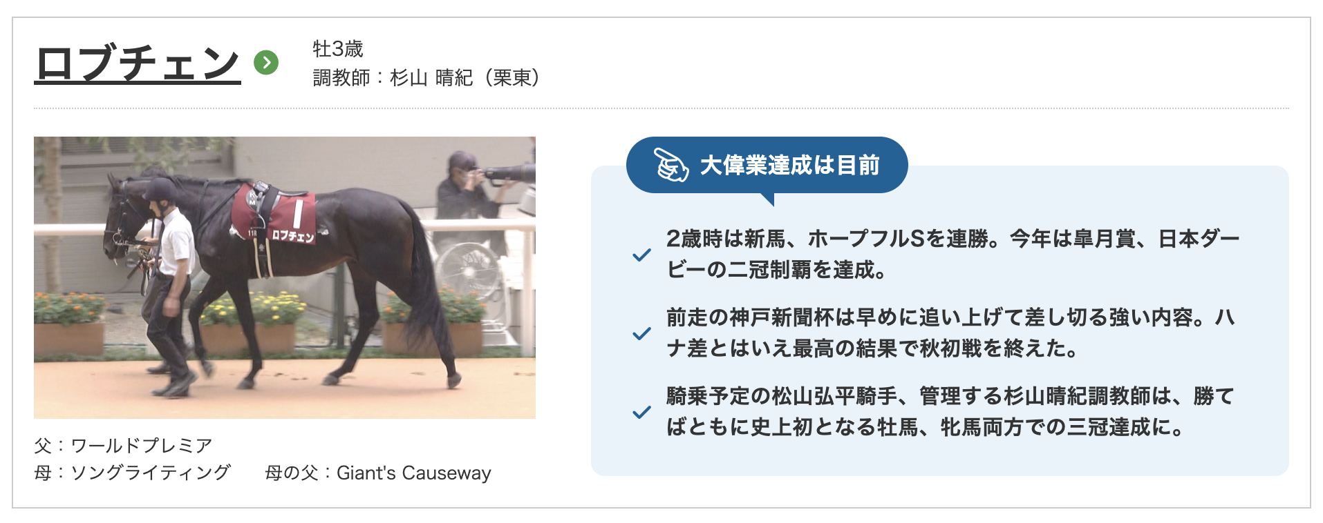 競馬 菊花賞 2026年 ロブチェン