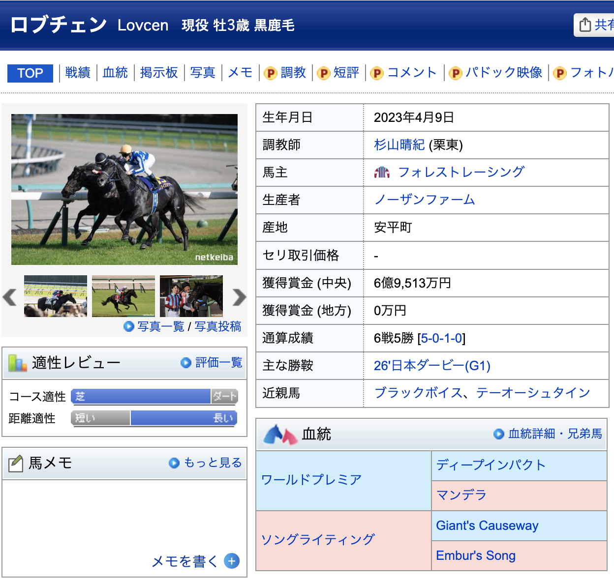 競馬 競走馬 ロブチェン