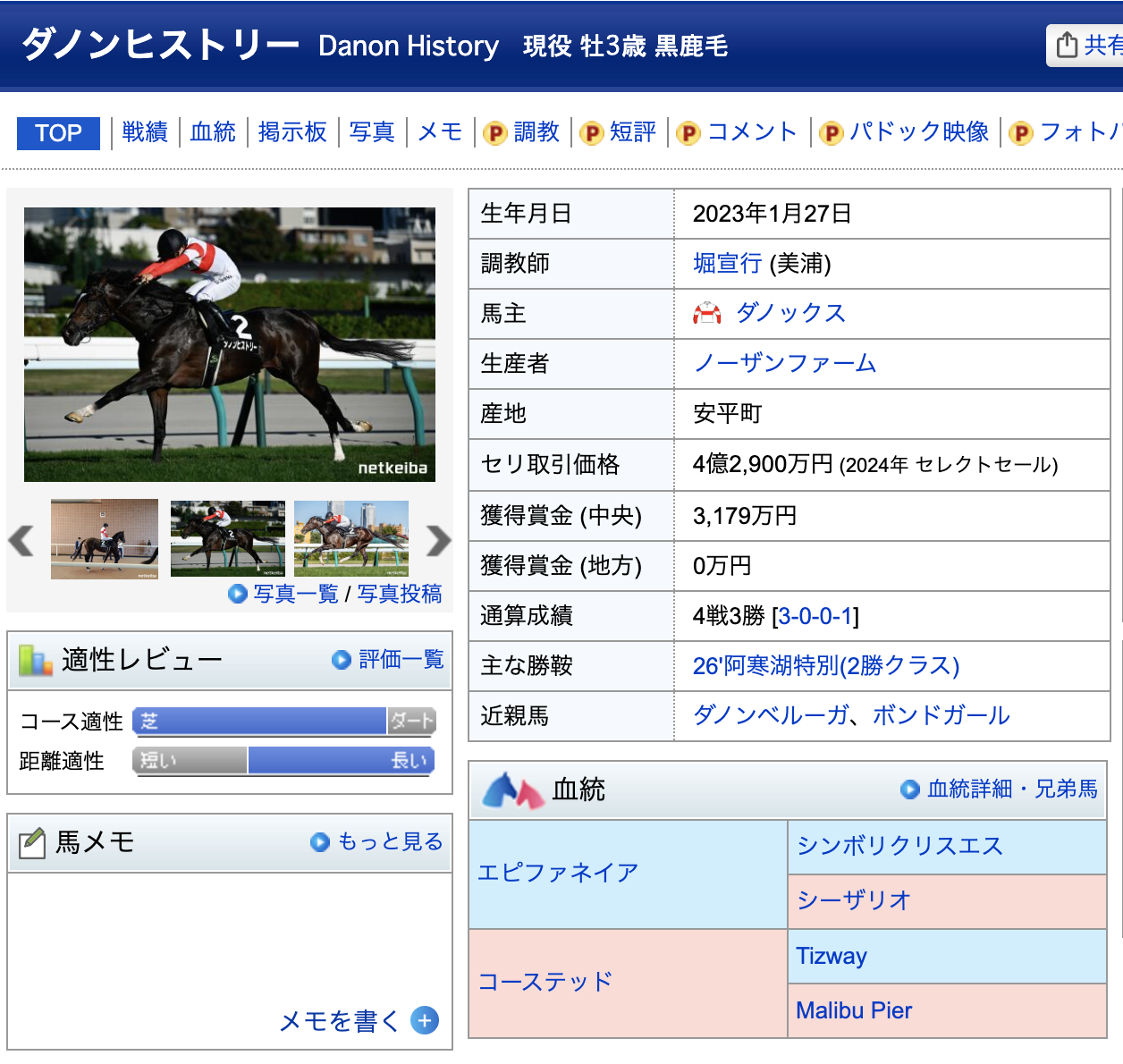 競馬 競走馬 ダノンヒストリー